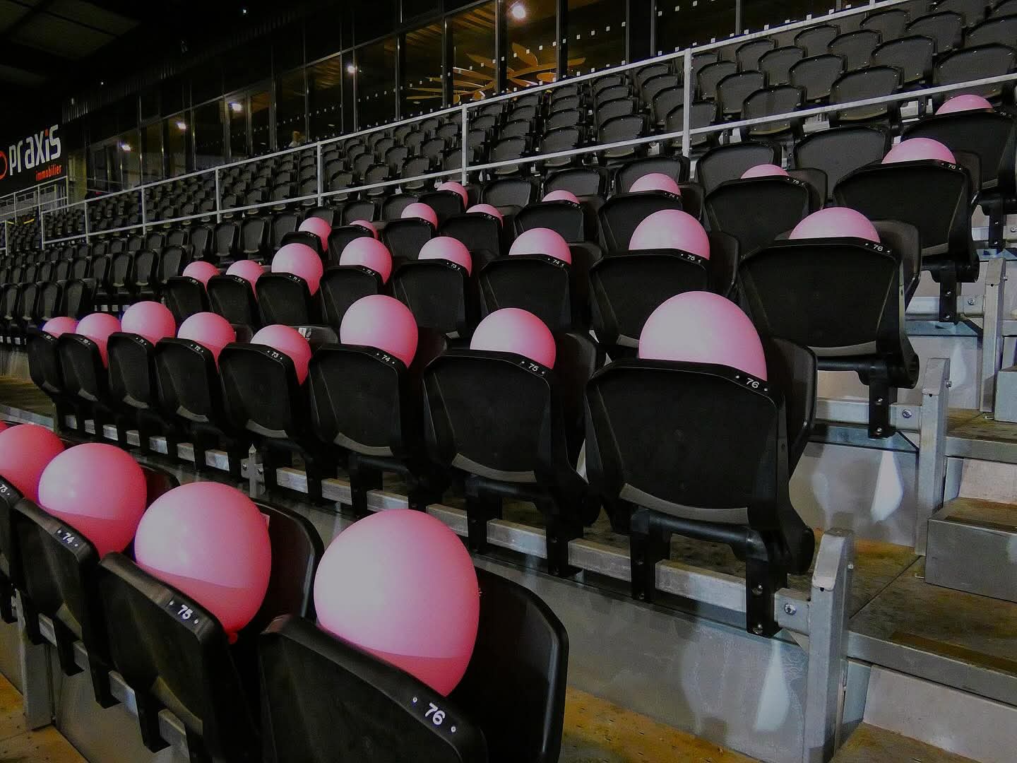 Animation Octobre Rose